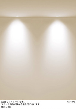 Panasonic ������饤�� SLD1033LLB1 �̿�2