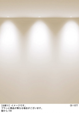 Panasonic ������饤�� SLD1033LLB1 �̿�3