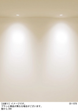 Panasonic ������饤�� SLD1033LLB1 �̿�4