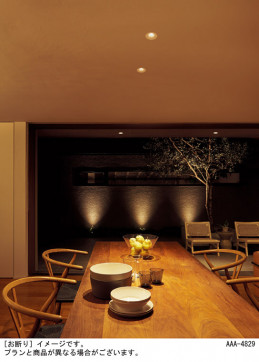 Panasonic �������ƥꥢ�饤�� SLW45920LE1 �̿�2