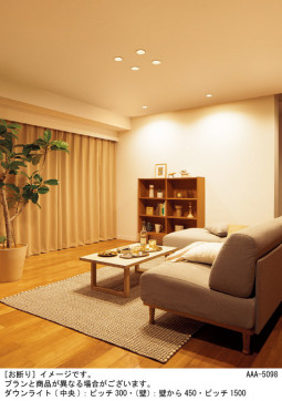 Panasonic ������饤�� XAD11001KCQ1 �̿�1