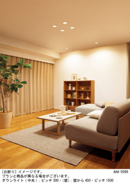 Panasonic ������饤�� XAD11001KCQ1 �̿�2