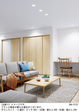 Panasonic ������饤�� XAD1100KCU1 �̿�6