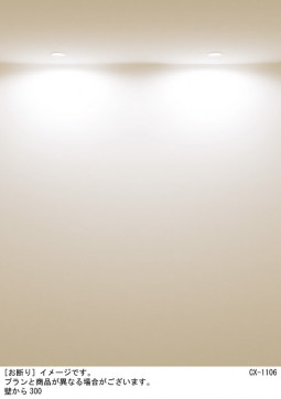 Panasonic ������饤�� XAD1100LKCB1 �̿�5