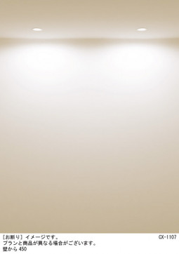 Panasonic ������饤�� XAD1100LKCB1 �̿�6