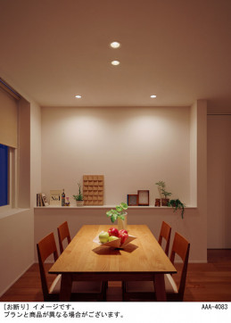 Panasonic ������饤�� XAD1100NKCB1 �̿�2