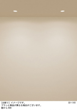 Panasonic ������饤�� XAD1108LCB1 �̿�4