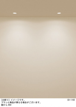 Panasonic ������饤�� XAD1108LCB1 �̿�5