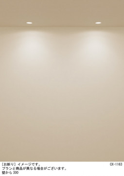 Panasonic ������饤�� XAD1108LCB1 �̿�6