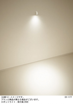 Panasonic ݥåȥ饤 XAS5020LCC1 ̿1