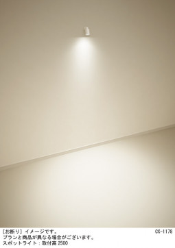 Panasonic ݥåȥ饤 XAS5060VCC1 ̿1