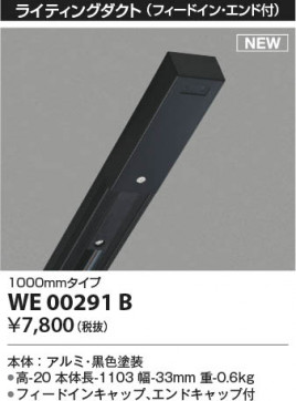 ���β��� Koizumi �������߾��� �饤�ƥ��󥰥�����(�ե����ɥ��󡦥�����ա� WE00291B