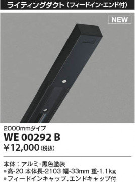 ���β��� Koizumi �������߾��� �饤�ƥ��󥰥�����(�ե����ɥ��󡦥�����ա� WE00292B