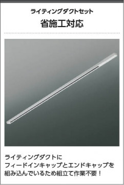 �������� Koizumi �������߾��� �饤�ƥ��󥰥�����(�ե����ɥ��󡦥�����ա� WE00292B