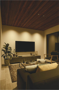 �ܹ���̿� Koizumi �������߾��� LED�ⵤ̩SB������饤�� AD1175B27