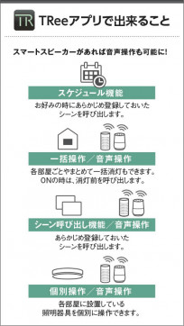 �������� Koizumi �������߾��� ���ޡ��ȥ����ץ� AE49233E