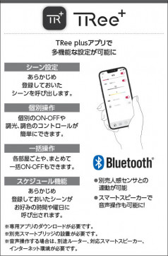 �������� Koizumi �������߾��� �饤�ȥ���ȥ����� AE54347E