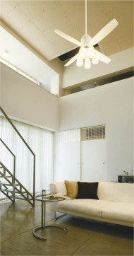 �ܹ���̿� Koizumi �������߾��� ����ƥꥢ�ե����Ĺ�ѥ��� AE-91156