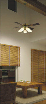 �ܹ���̿� Koizumi �������߾��� ����ƥꥢ�ե������� AM40384E