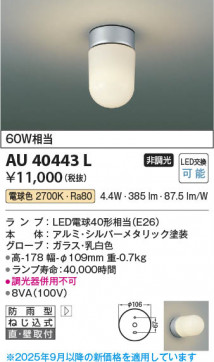 ���β��� Koizumi �������߾��� LED�ɱ����֥饱�å� AU40443L
