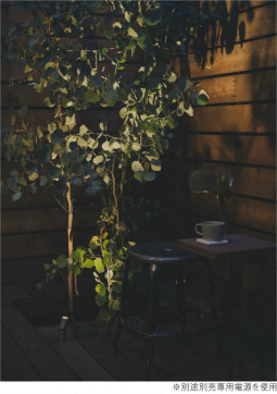 �ܹ���̿� Koizumi �������߾��� LED DC24V�������ƥꥢ���ѥ������ݥå� AU92278