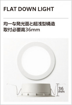 ODELIC �����ǥ�å� ������饤�� OD361678BR �̿�1