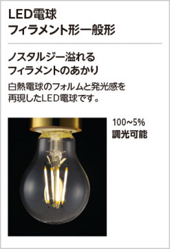 ODELIC �����ǥ�å� �������ƥꥢ�饤�� OG254632LC2 �̿�1