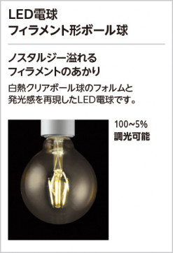 ODELIC �����ǥ�å� �������ƥꥢ�饤�� OG254872LC1 �̿�2