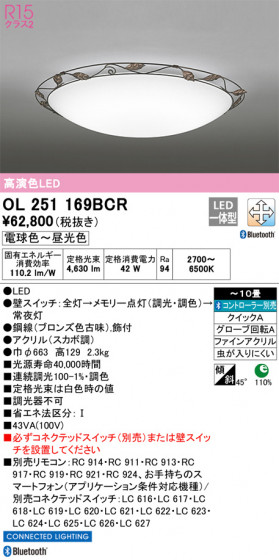 ODELIC ǥå 󥰥饤 OL251169BCR ᥤ̿