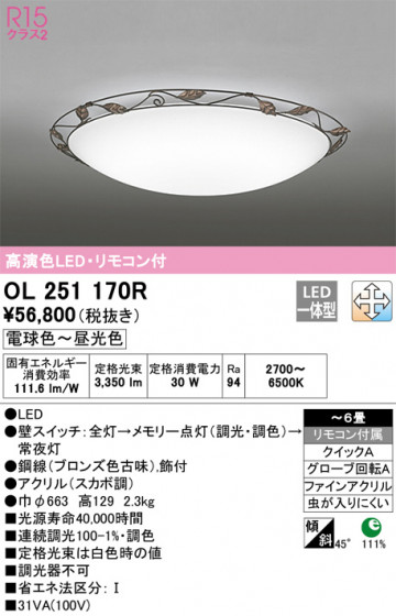 ODELIC ǥå 󥰥饤 OL251170R ᥤ̿