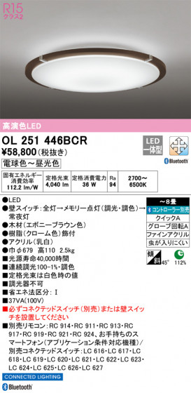 ODELIC ǥå 󥰥饤 OL251446BCR ᥤ̿