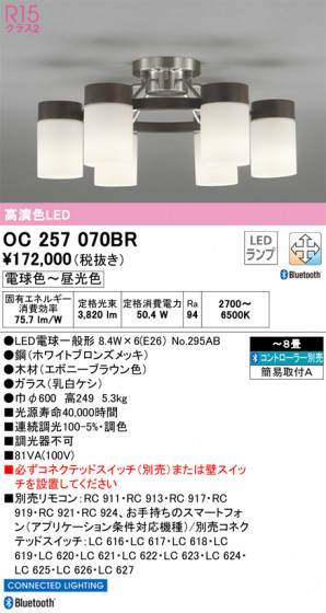 ODELIC ǥå ǥꥢ OC257070BR ᥤ̿