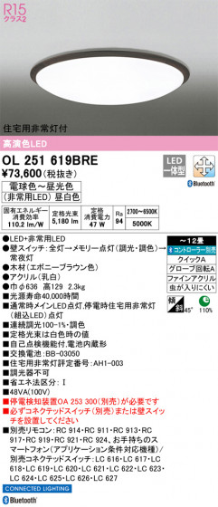 ODELIC ǥå 󥰥饤 OL251619BRE ᥤ̿