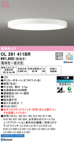 ODELIC ǥå 󥰥饤 OL291411BR ᥤ̿