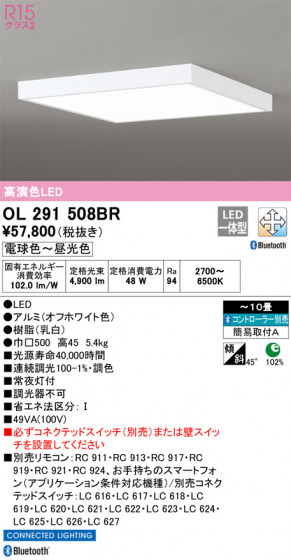 ODELIC ǥå 󥰥饤 OL291508BR ᥤ̿