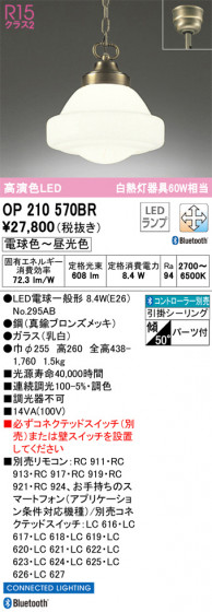 ODELIC ǥå ڥȥ饤 OP210570BR ᥤ̿