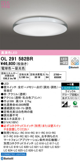 ODELIC ǥå 󥰥饤 OL291582BR ᥤ̿