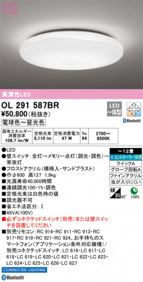 ODELIC ǥå 󥰥饤 OL291587BR ᥤ̿