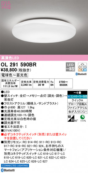 ODELIC ǥå 󥰥饤 OL291590BR ᥤ̿
