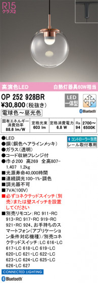 ODELIC �����ǥ�å� �ڥ����ȥ饤�� OP252928BR �ᥤ��̿�