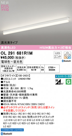ODELIC ǥå LED ١饤 OL291681R1M ᥤ̿