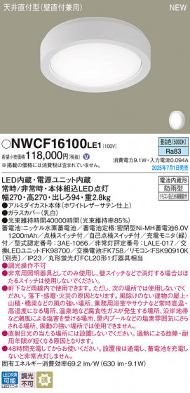 Panasonic ������󥰥饤�� NWCF16100LE1 �ᥤ��̿�