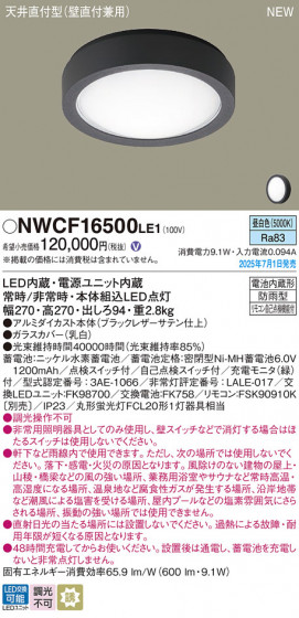 Panasonic ������󥰥饤�� NWCF16500LE1 �ᥤ��̿�
