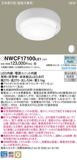 Panasonic ������󥰥饤�� NWCF17100LE1 �ᥤ��̿�