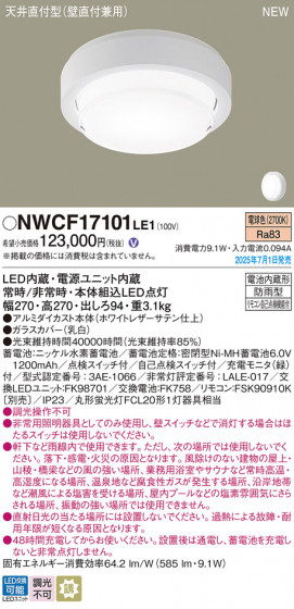 Panasonic ������󥰥饤�� NWCF17101LE1 �ᥤ��̿�