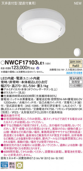 Panasonic ������󥰥饤�� NWCF17103LE1 �ᥤ��̿�