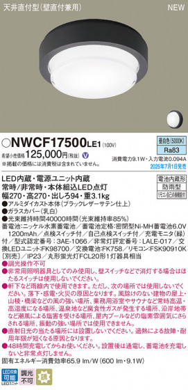 Panasonic ������󥰥饤�� NWCF17500LE1 �ᥤ��̿�