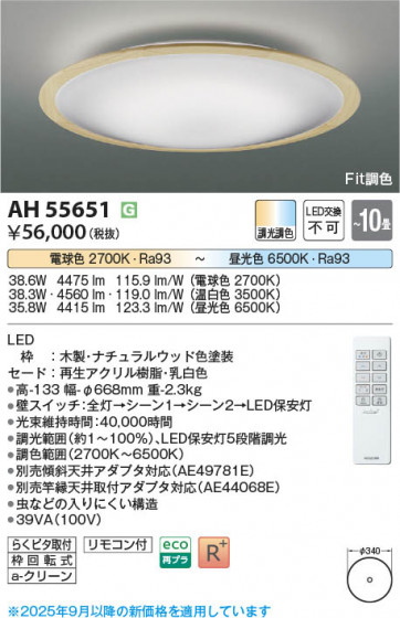 ���β��� Koizumi �������߾��� LED������� AH55651