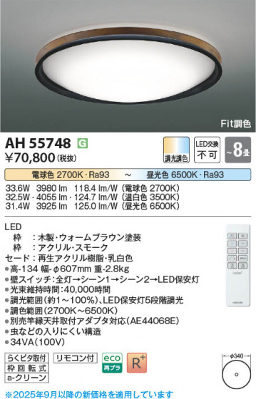 ���β��� Koizumi �������߾��� LED������� AH55748