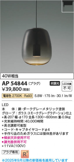 ���β��� Koizumi �������߾��� LED�ڥ����� AP54844